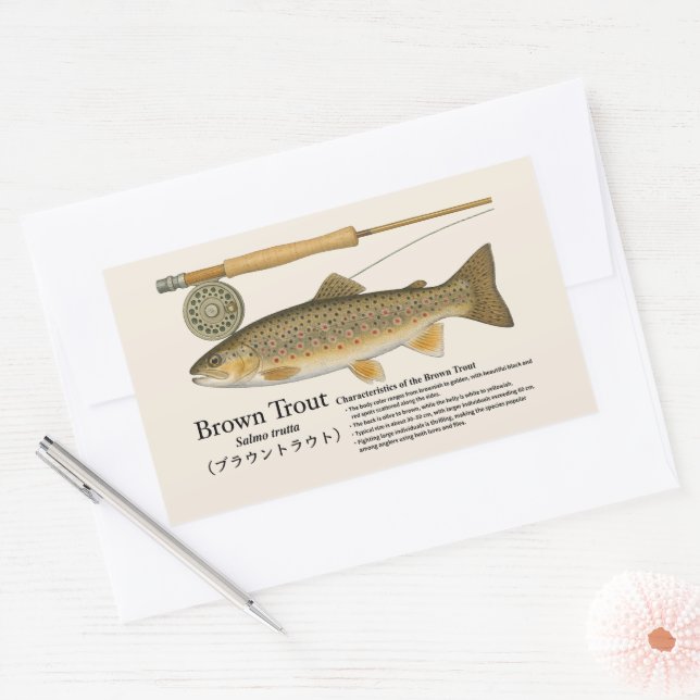 Adesivo Retangular Truta-marrom (Salmo trutta) – Ilustr. Inglesa (Envelope)
