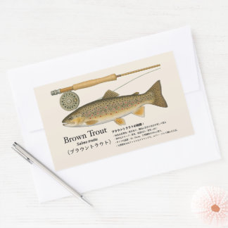 Adesivo Retangular Truta-marrom (Salmo trutta) – Ilustração Japonesa