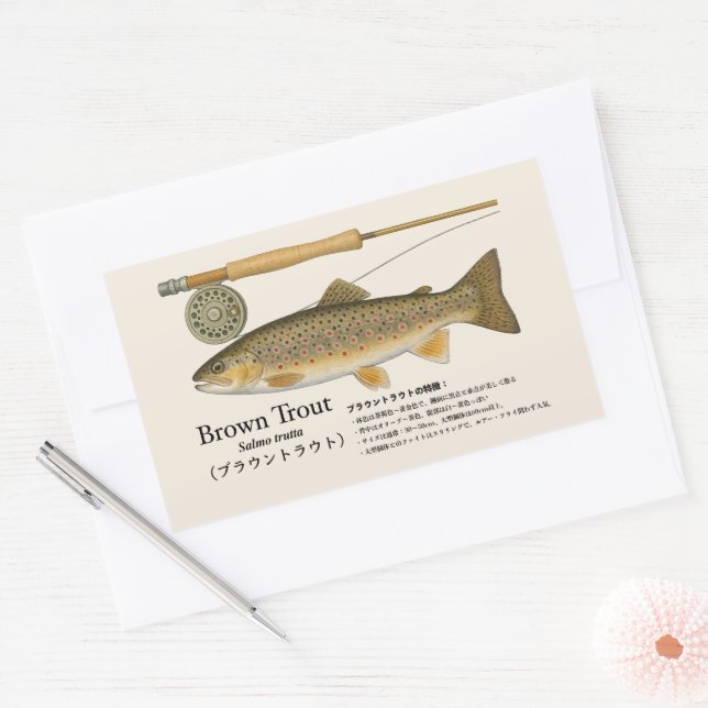 Adesivo Retangular Truta-marrom (Salmo trutta) – Ilustração Japonesa (Envelope)