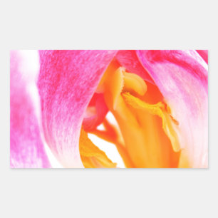 Adesivo Retangular tulipa cor-de-rosa