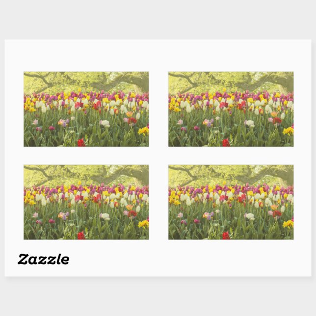 Adesivo Retangular Tulipas coloridas num parque 2 (Folha)