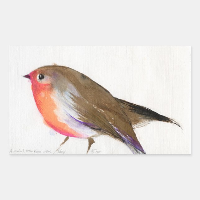 Adesivo Retangular Um ladrão mágico chamado Wisp 2011 (Frente)