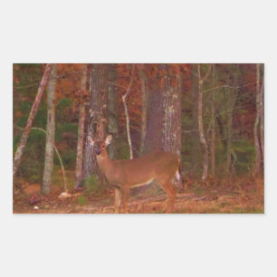 Adesivo Retangular Um veado no lago Arrohouad