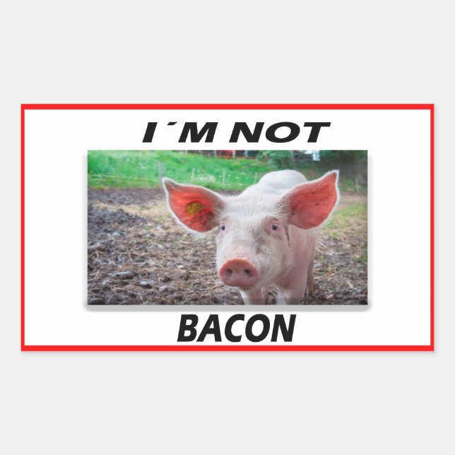 Adesivo Retangular Vegan | Vinhetas de Ativismo | Salvar os animais (Frente)