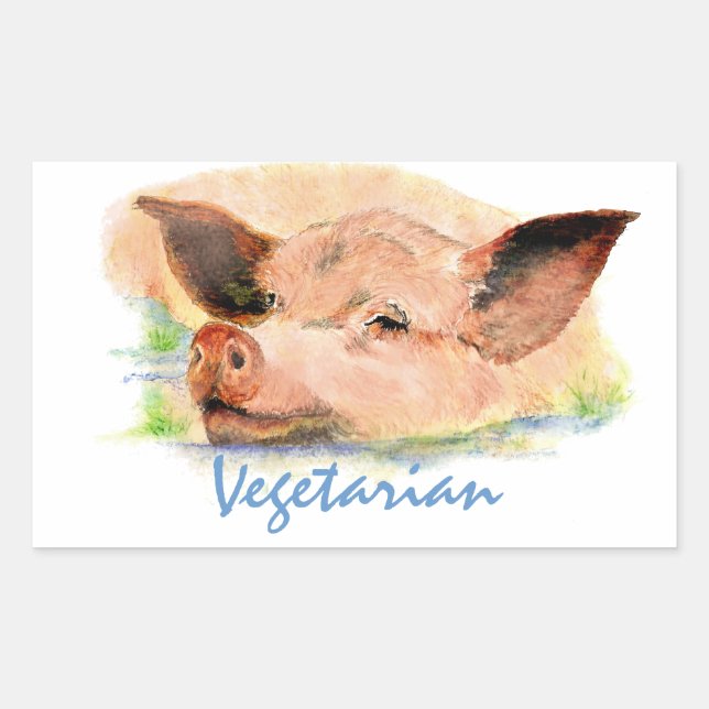 Adesivo Retangular Vegetariano com Porco de Aquarela Cúbica (Frente)