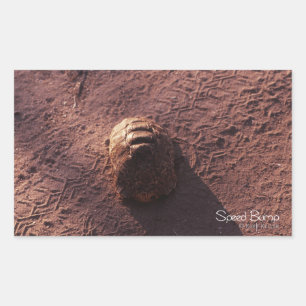 Adesivo Retangular Velocidade