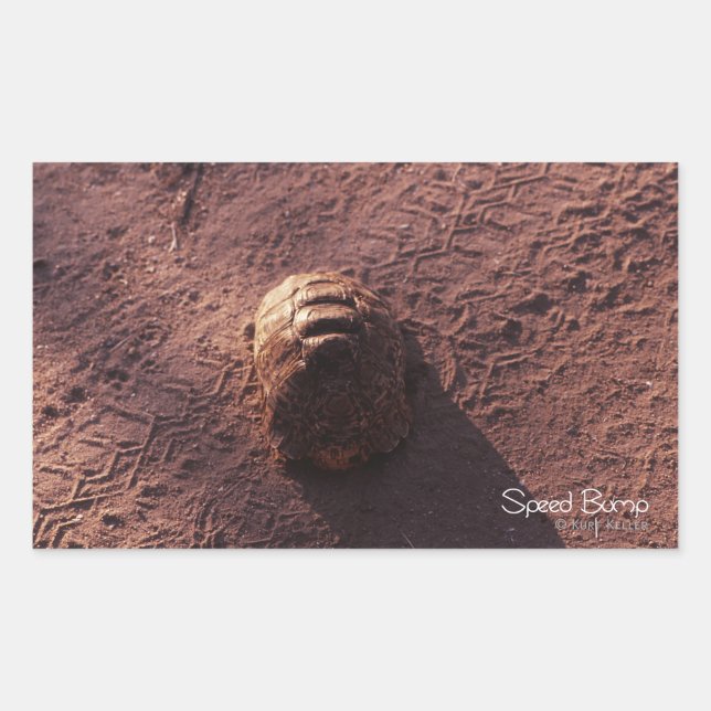 Adesivo Retangular Velocidade (Frente)