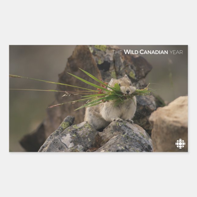 Adesivo Retangular Verão - América Latina (Frente)