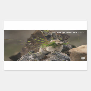 Adesivo Retangular Verão - América Latina