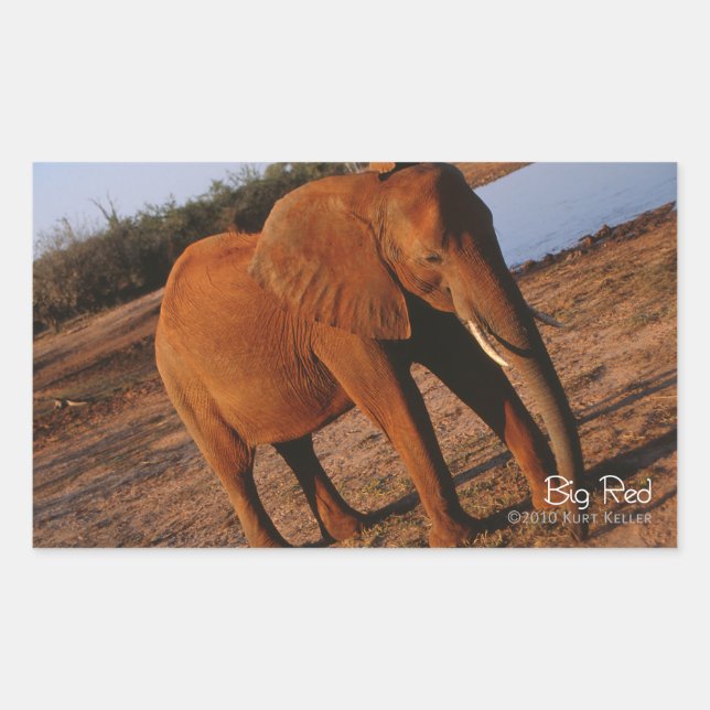 Adesivo Retangular Vermelho Grande (Frente)