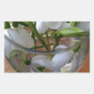 Adesivo Retangular vidro dos snowdrops