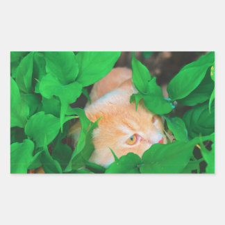 Adesivo Retangular Vinheta