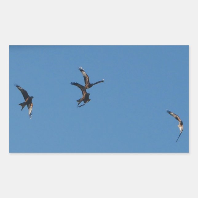 Adesivo Retangular Vinheta de Kites Vermelha (Frente)