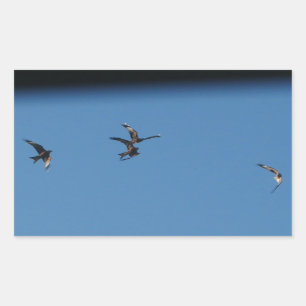 Adesivo Retangular Vinheta de Kites Vermelha