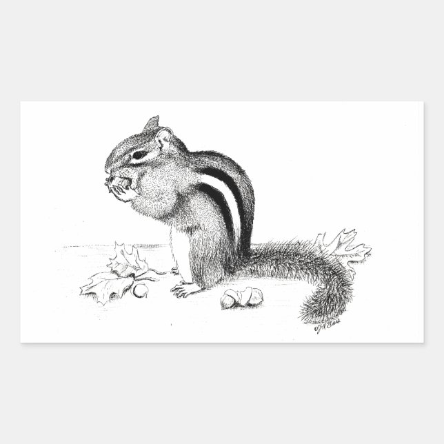 Adesivo Retangular Vinheta do chipset (Frente)