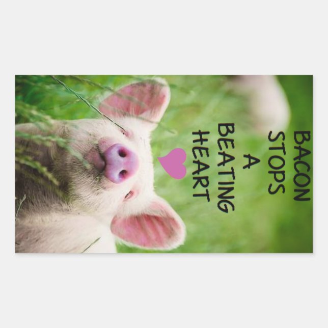 Adesivo Retangular Vinheta dos direitos dos animais. (Frente)