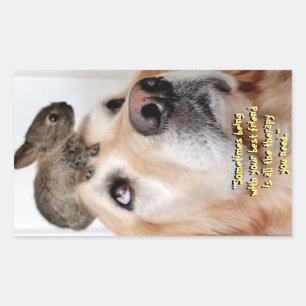 Adesivo Retangular Vinheta "Meu Melhor Amigo"