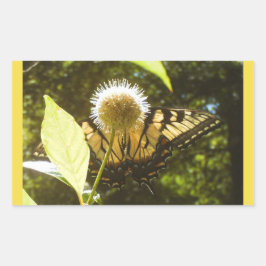 Adesivo Retangular Vinheta Monarca Amarela