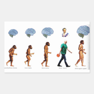 Adesivo Retangular Vinheta - Reproduzindo através da cara