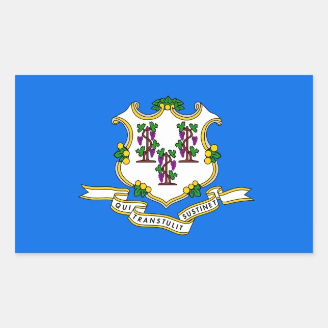 Adesivo Retangular Vinheta retangular com sinalizador de Connecticut, (Frente)