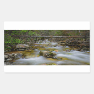 Adesivo Retangular Vinheta retangular de espadilha de floresta Rocky