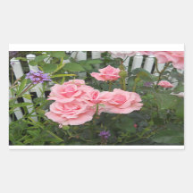 Vinheta Retangular de Rosas Rosa