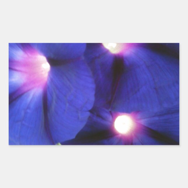 Adesivo Retangular Vinheta Retangular Floral (Frente)