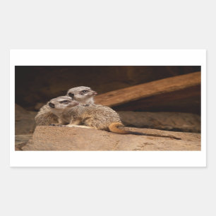 Adesivo Retangular Vinheta Retângulo Meerkat
