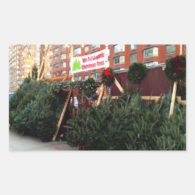 Adesivo Retangular Vinhetas de árvores de Natal orgânicas da NYC (Frente)