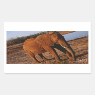 Adesivo Retangular Vinhetas de Elefante Vermelho Grande