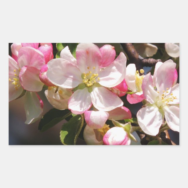 Adesivo Retangular Vinhetas de Páscoa do ventilador (Frente)