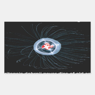 Adesivo Retangular Vinhetas de retângulo de águas-vivas imortais