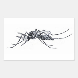 Adesivo Retangular Vintage Aedes aegypti ilustração