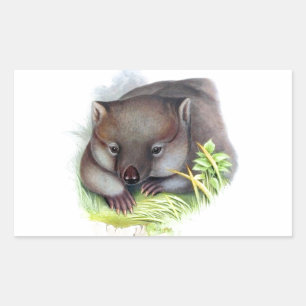 Adesivo Retangular Vintage animal australiano impressionante bonito