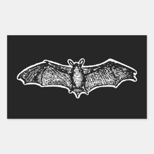 Adesivo Retangular Vintage Bat