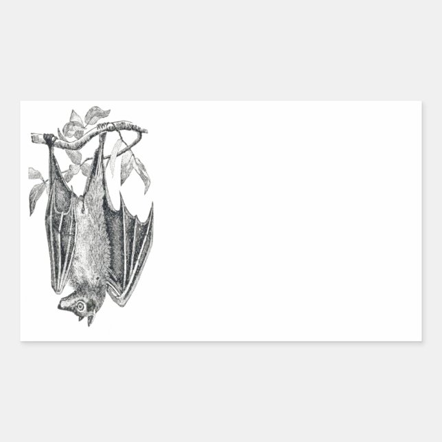 Adesivo Retangular Vintage Bat Sticker (Frente)