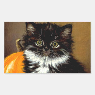 Adesivo Retangular Vintage Black and White Halloween Cat