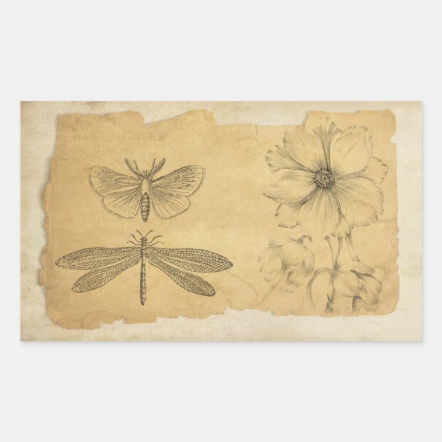 Adesivo Retangular Vintage Parergage Collage Scrapbook (Frente)