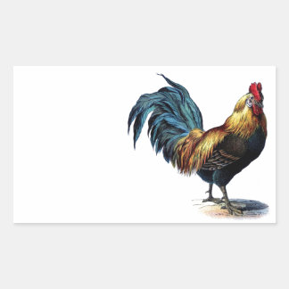 Adesivo Retangular Vintage Rooster