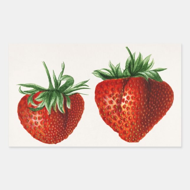 Adesivo Retangular Vintage Strawberry (Frente)