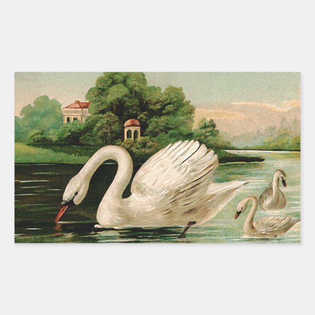 Adesivo Retangular Vintage Swan no lago (Frente)