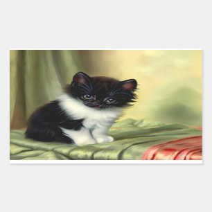 Adesivo Retangular Vintage Tuxedo Kitten Illustration