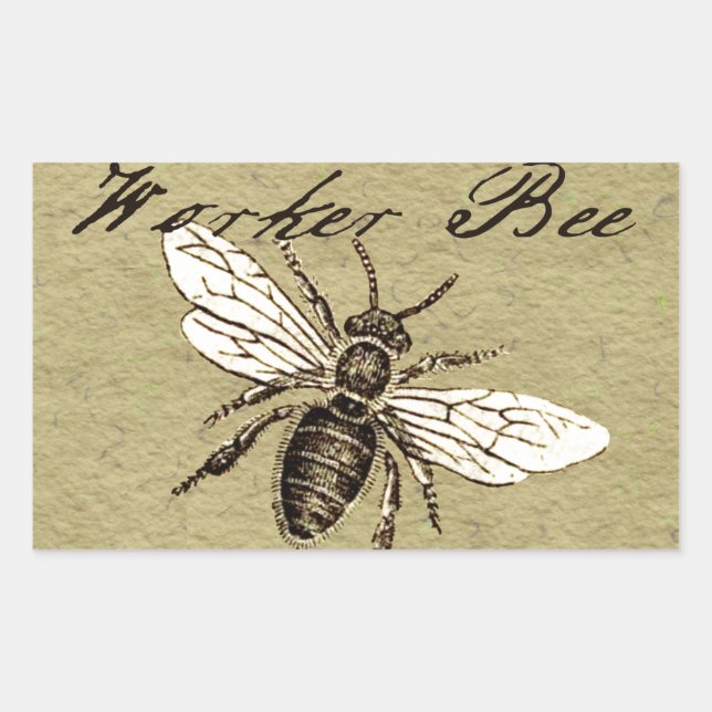 Adesivo Retangular Vintage Worker Bee Insett Illustration Antique (Frente)
