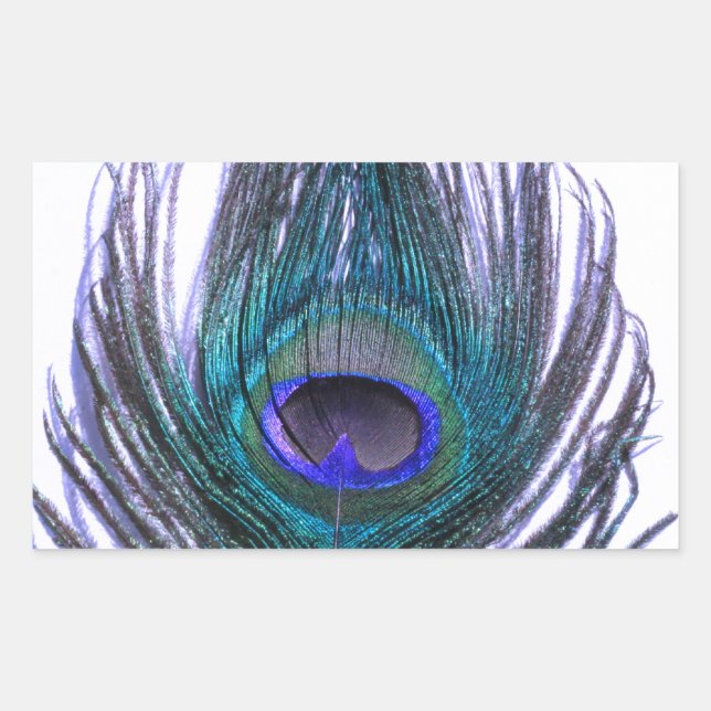 Adesivo Retangular Violet Peacock Feather (Frente)