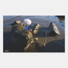 Adesivo Retangular Vissende Fubby op een steen.