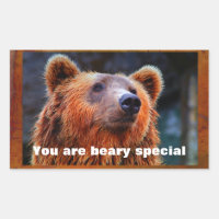 Você é Beary Special Brown Bear Natureza Retrato