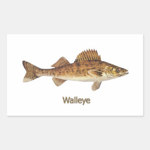 Adesivo Retangular Walleye (grandes lagos)