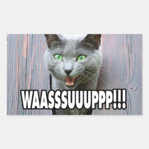 Adesivo Retangular WASSUP - Memória do Gato