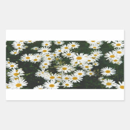 Adesivo Retangular White Oxeye Daisy Meadow