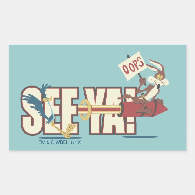Adesivo Retangular WILE E. COYOTE™ Rocketing Past ROAD RUNNER™ (Frente)